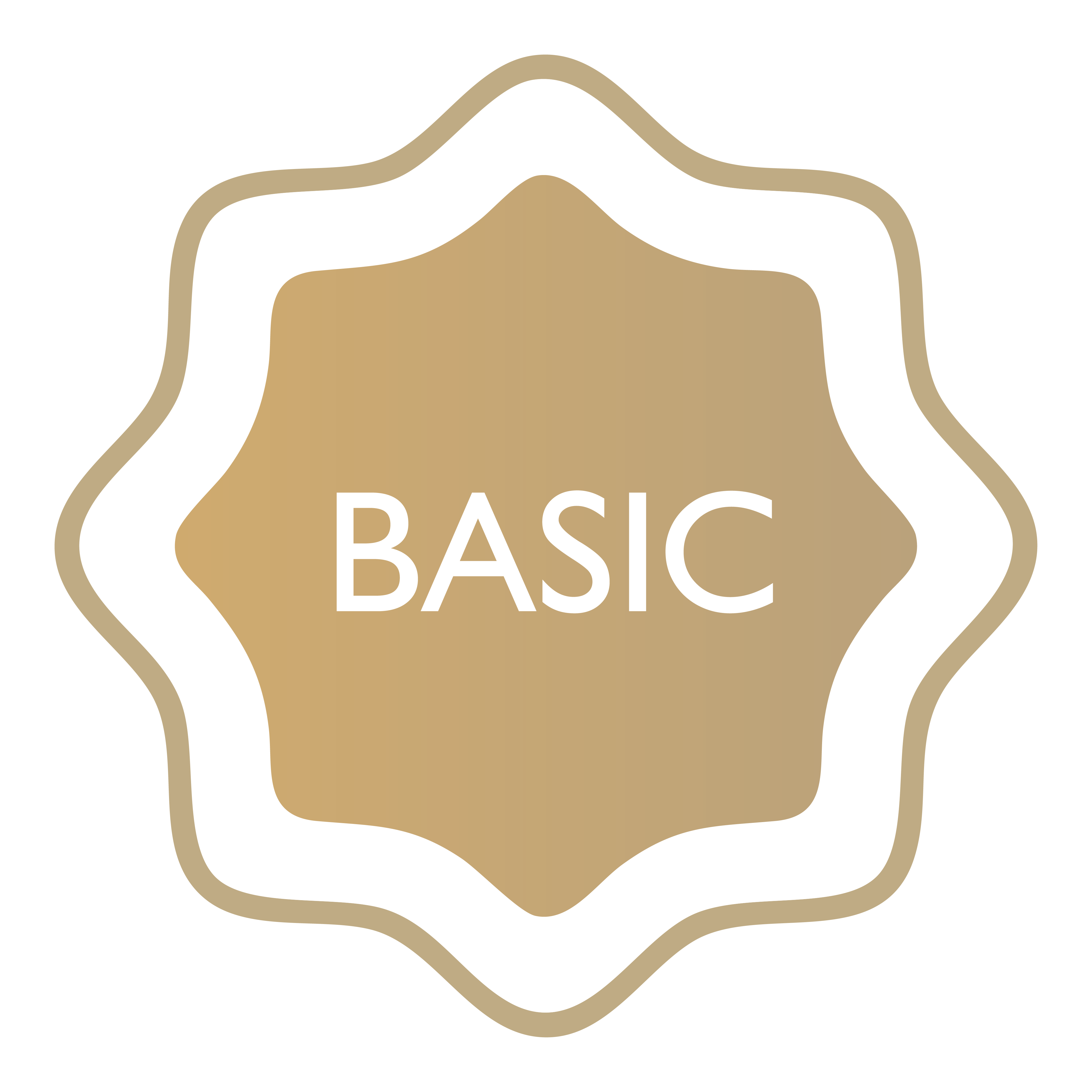 Basic Icon